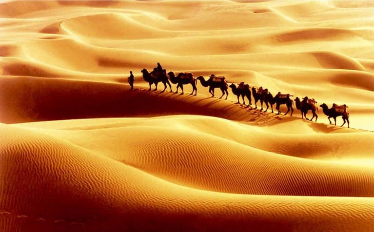 مخصصة 3d جدارية خلفية الصحراء الجمل 3d صور خلفيات جدارية لغرفة المعيشة الحديثة 2020 من Yeyueman8888 34 26ر س موبايل Dhgate