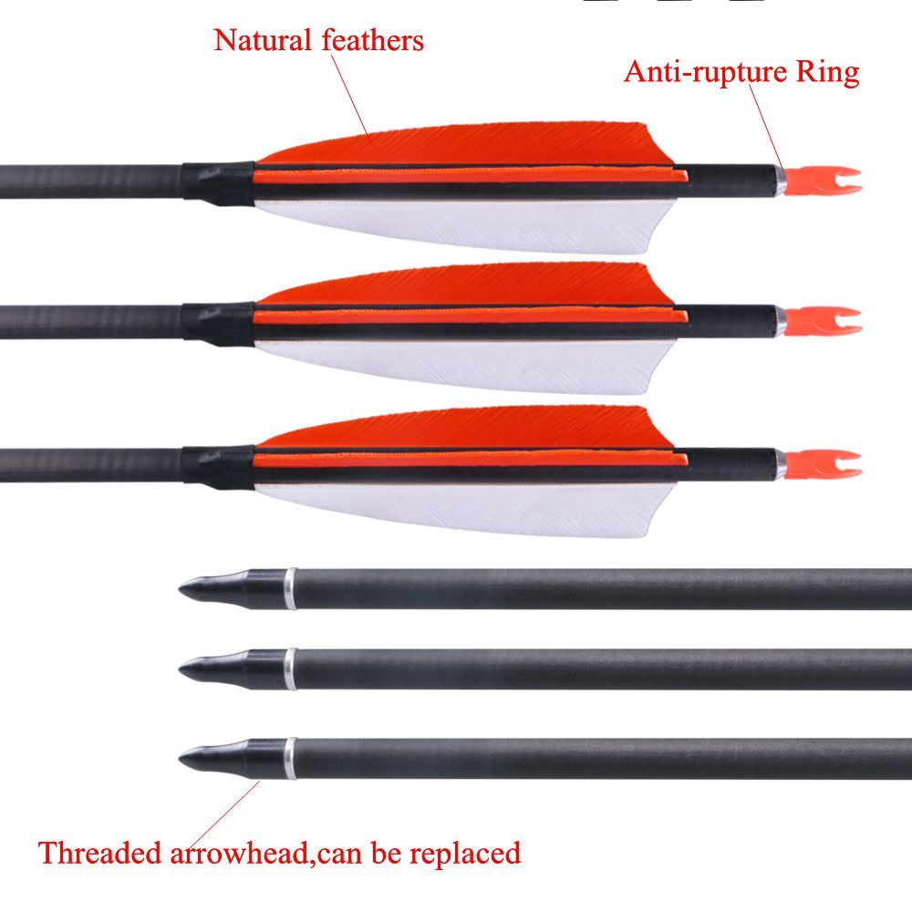 Carbon Arrows Natual Feather Fletchings Archery Practice Arrows Hunting
