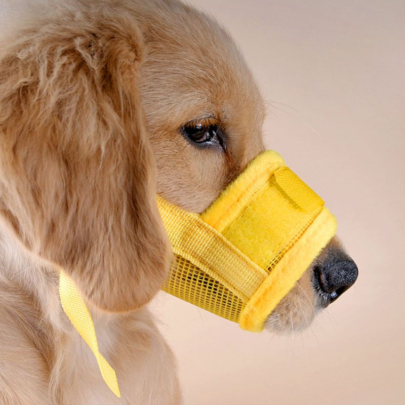 Acheter Animal De Compagnie Chien Masque Réglable Écorce
