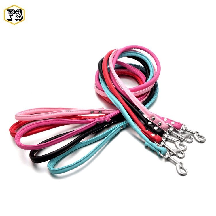 small dog leash