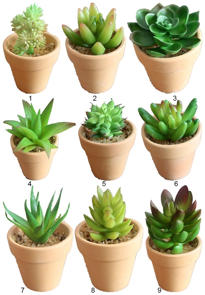 Artificial Retro Ceramic Plant  Pots  With Green Succulents 