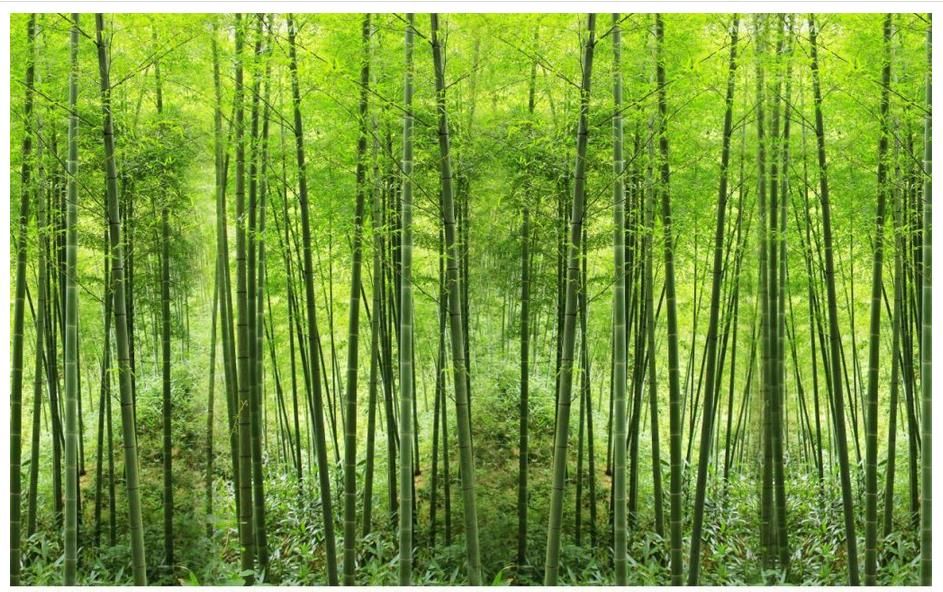 Get Meer wanddekor For Free