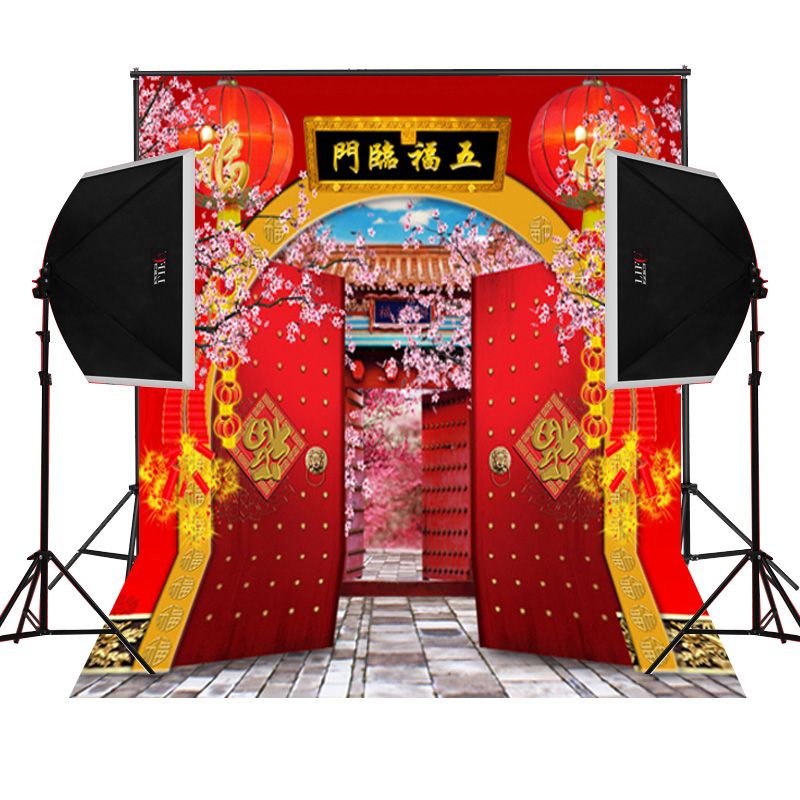 2019 Chinese Fortune New Year Garden Scenic Photography Backdrops