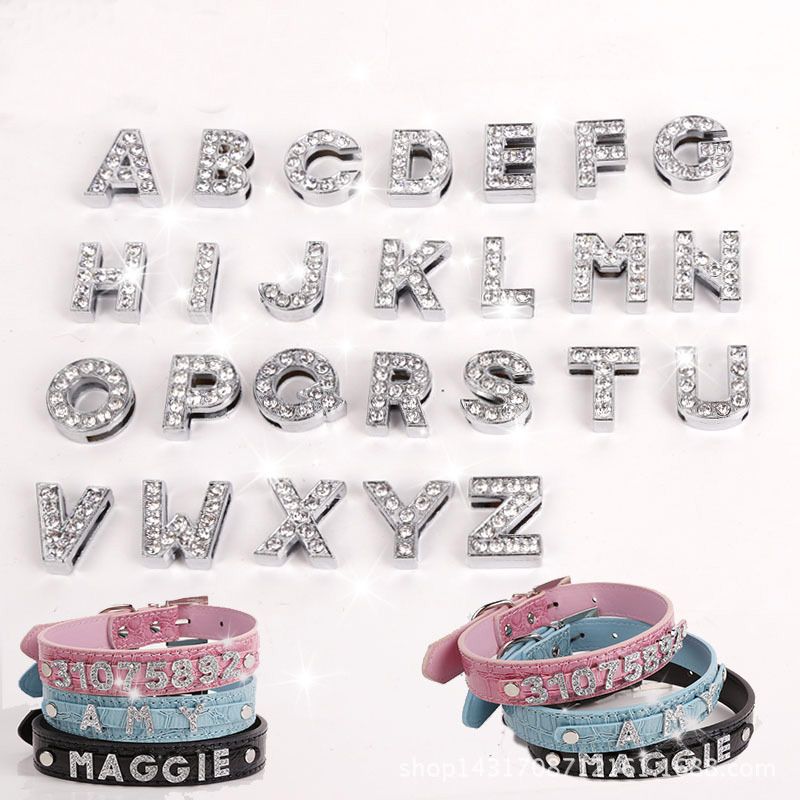 nettoyer un chien 9 lettres