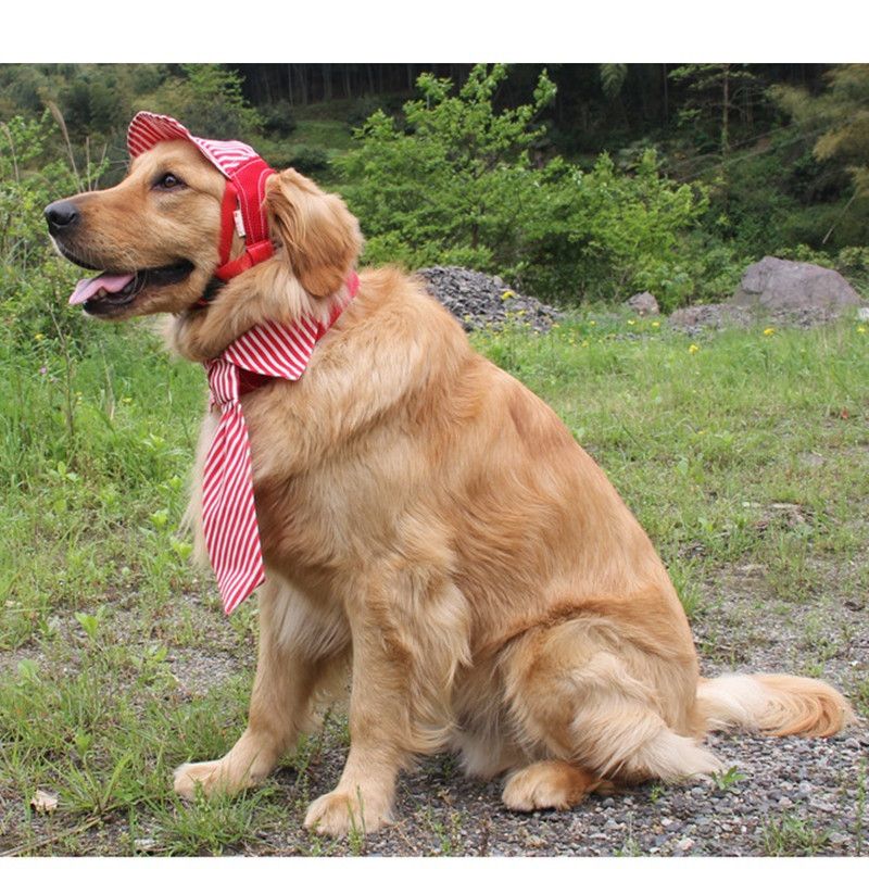 2019 Stripes Pet Dog Hat Baseball Cap Windproof Travel Sports Sun Hats