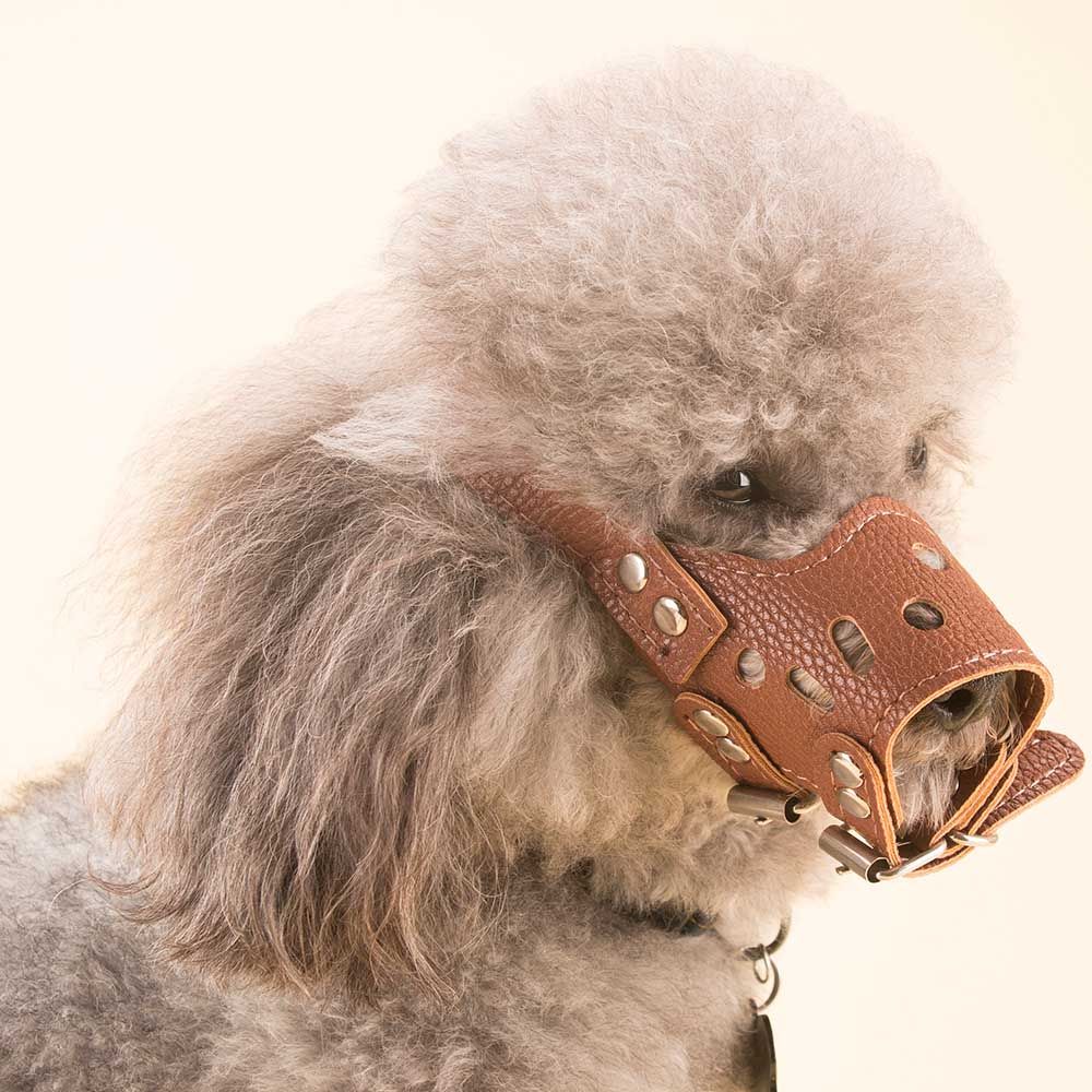 Pu Leather Dog Muzzle Anti Biting Dogs Traning No Bark Pet Pu Leather Dog Muzzle Anti Biting Dogs Traning No Bark Pet Mask For Pitbull Labrador Small Large Xs L Muzzles