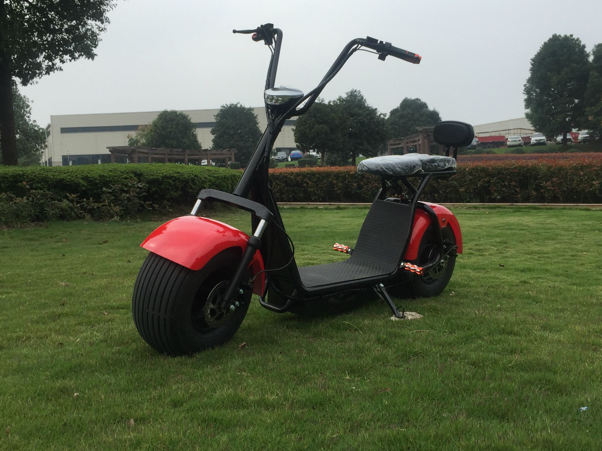 2018 Citycoco Electric Scooter Adult E Bike 1000W 60v 2017 Popular Fat
