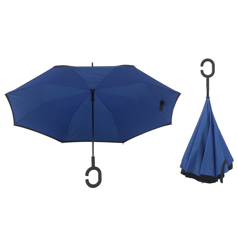 umbrella with handle on top