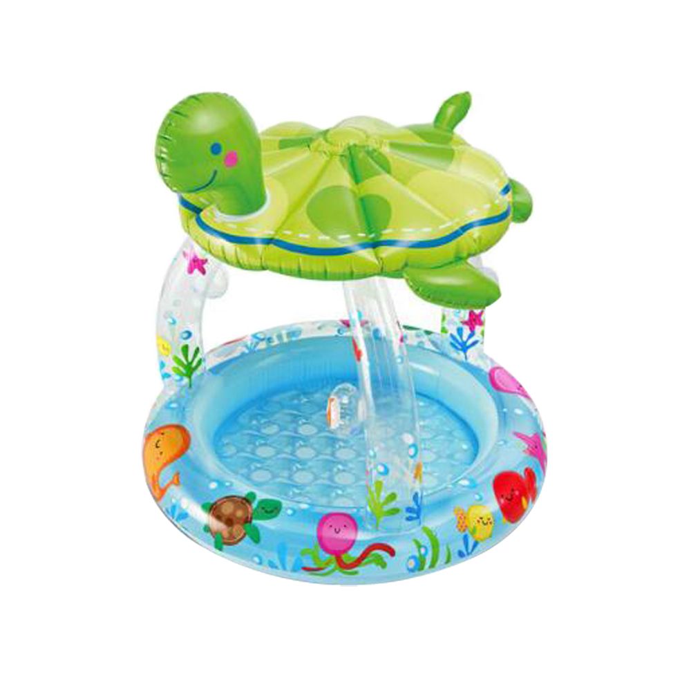 turtle pool toy