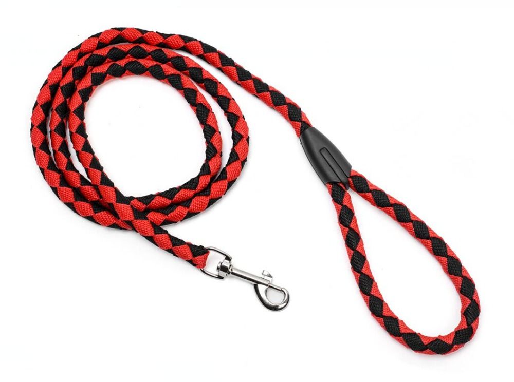 rope dog collar and leash