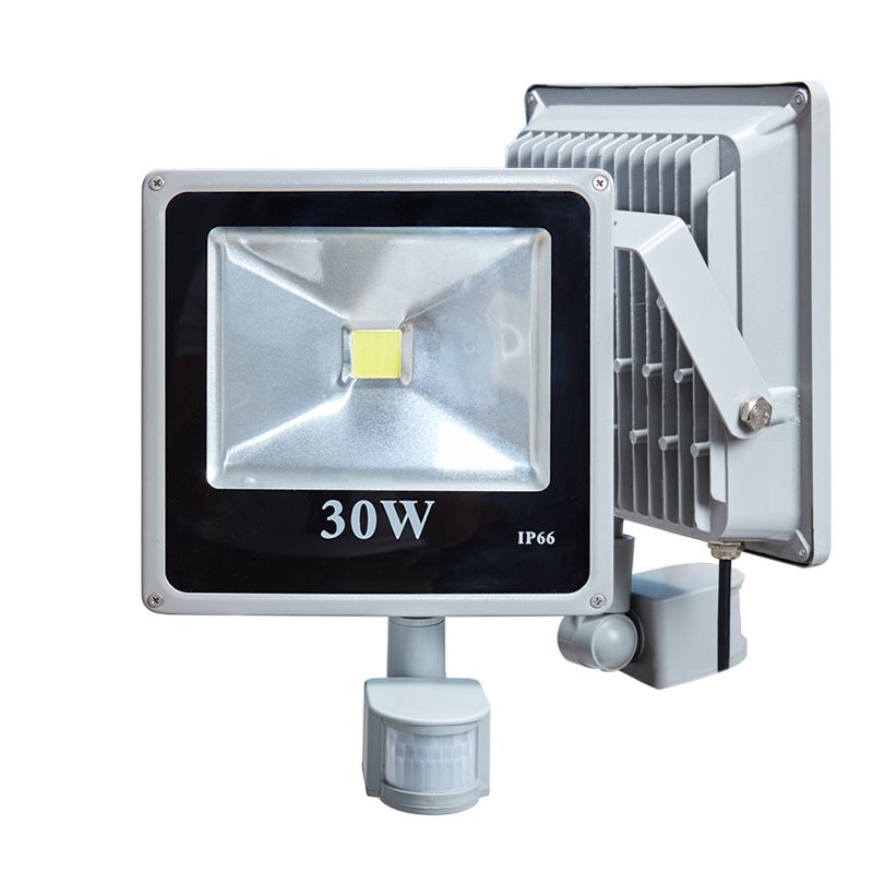 Outdoor Lighting Led Floodlight Spotlight Reflector 10w 20w 30w 50w 100w Lamps With Pir Motion Sensor Ac220v