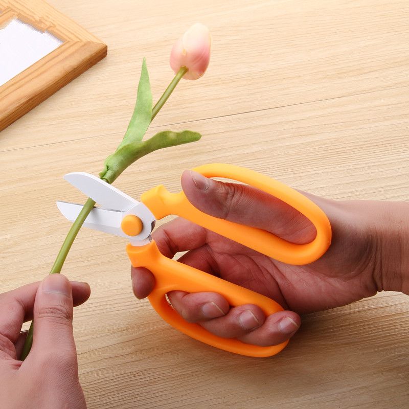 2019 High Quality Flower Scissors Floristry Cutter Tools Multi Colors