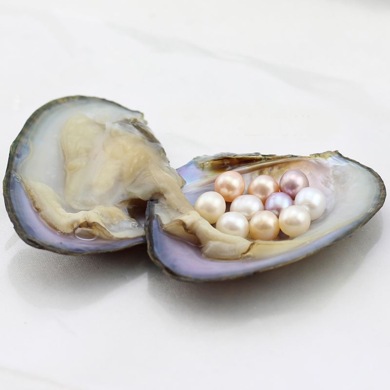 Natural Pearl Oyster With 68mm White Pink Purple Off Round Pearls For Pearl Cage Jewelry Making
