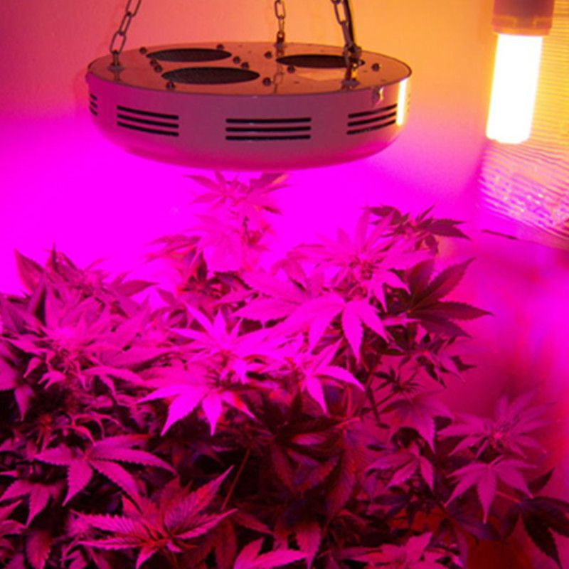 Full Spectrum 150w Ufo Led Plant Grow Light Bulb 50x3w Fitolampa Full Spectrum 150w Ufo Led Plant Grow Light Bulb 50x3w Fitolampa Tent Indoor Growing Lamp For Plants Flowers Vegetable Garden Lighting