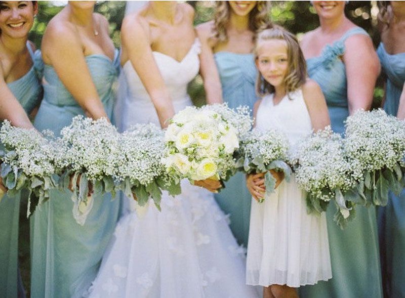 gypsophila bridesmaid
