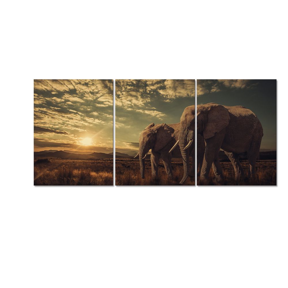 animal canvas printing big elephant hd canvas prints canvas art for