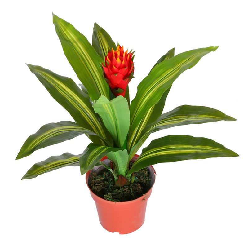 2018 Good Luck Tree, Artificial Tree,Artificial Plants,Home ... 2018 Good Luck Tree, Artificial Tree,Artificial Plants,Home ...