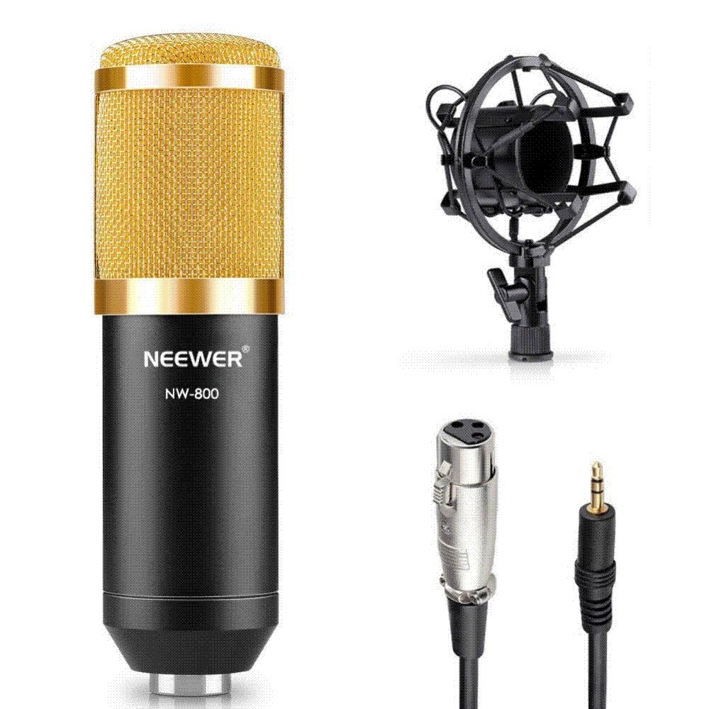 eewer &nbsp;nw 800 professional studio microphone set:mic+mic