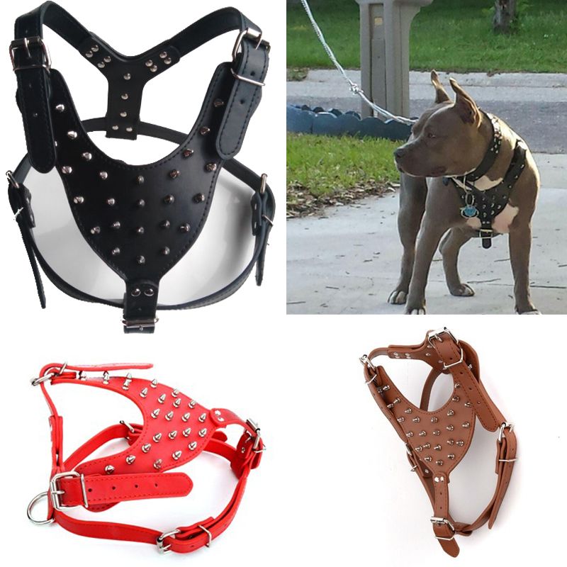 2019 Large Dogs High Quality Pu Leather Harness With Rivets 2019 Large Dogs High Quality Pu Leather Harness With Rivets Domineering Cool For Pitbull From Anniezhou1991 17 08 Dhgate Com