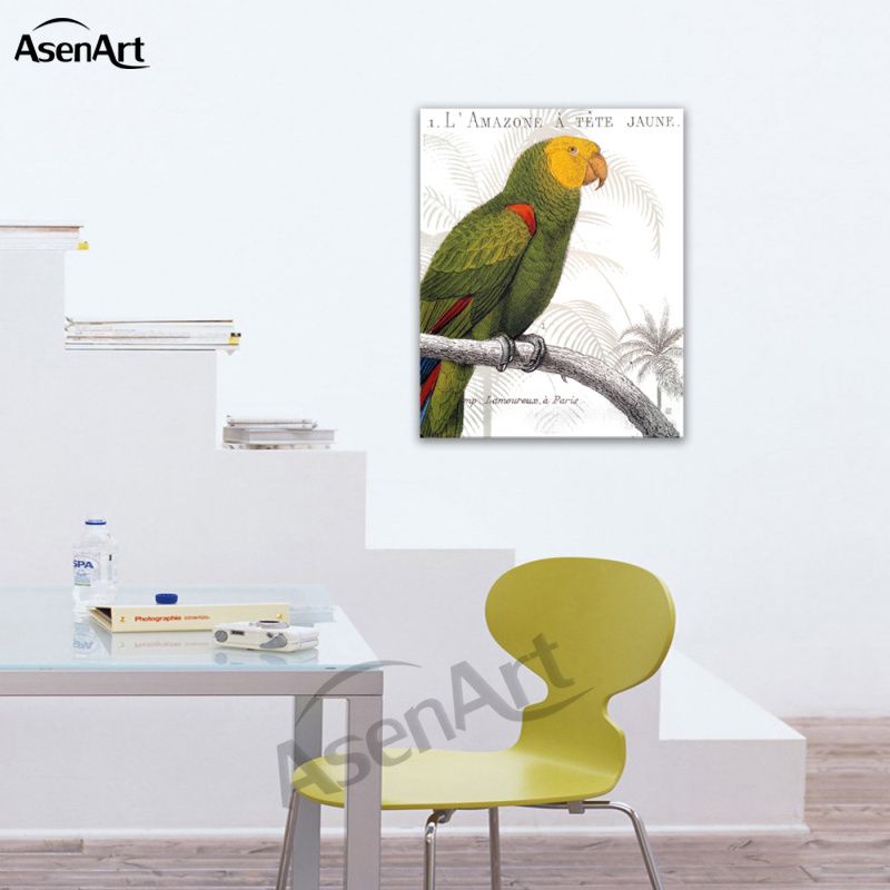 Acheter Perroquet Peintures Toile Oiseau Peinture Pour Salon Chambre