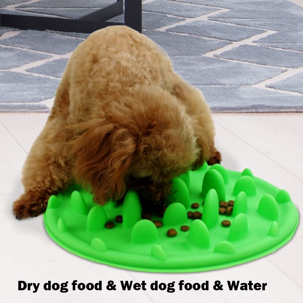 Green Interactive Slow Feeder For Dogs Dog Food Bowl No Gulp Slow