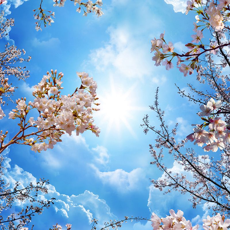 Custom Wall Mural Painting Blue Sky White Clouds Peach Blossom Ceiling Modern Designs 3D Living