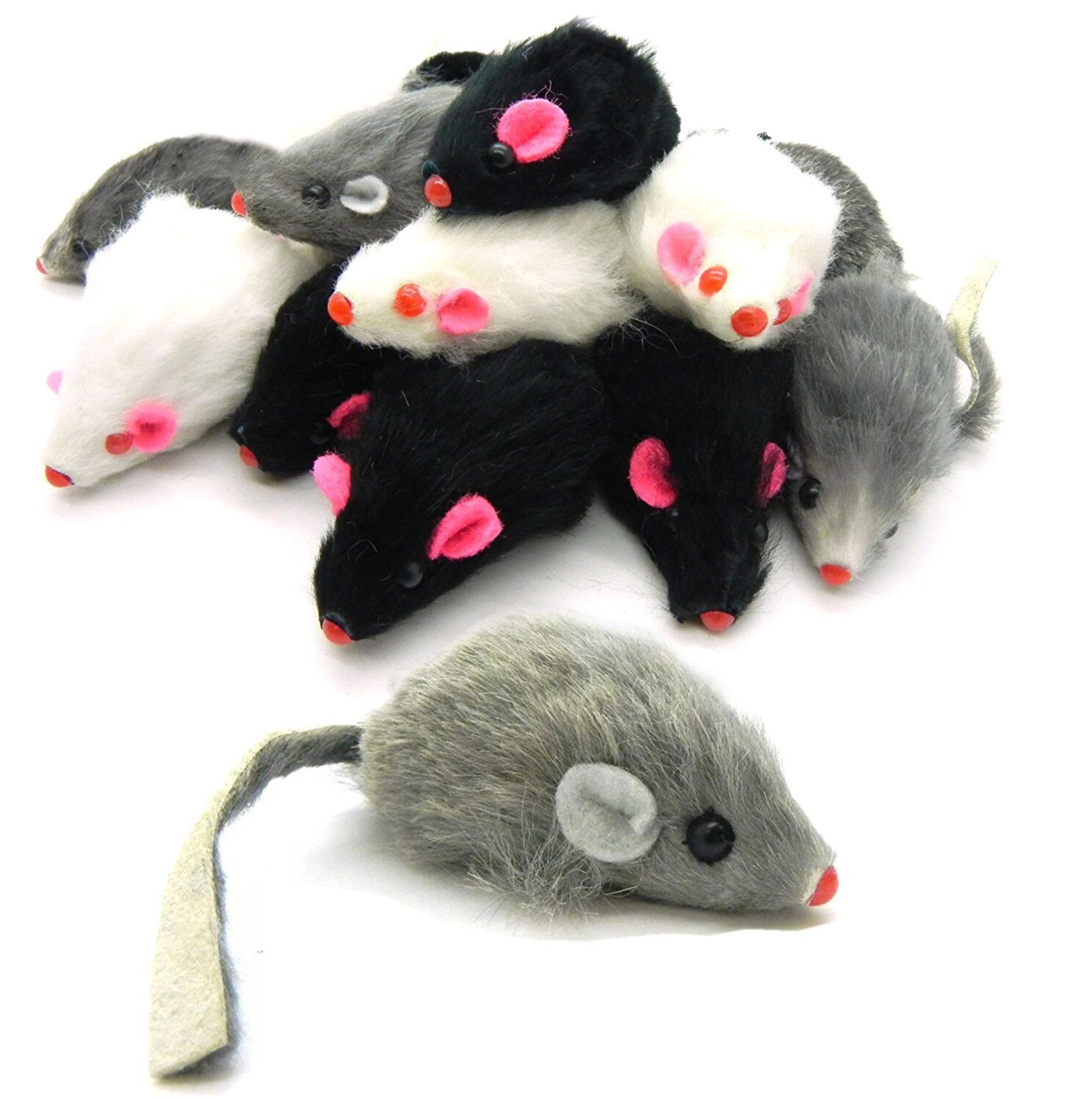 cat toy with mouse inside