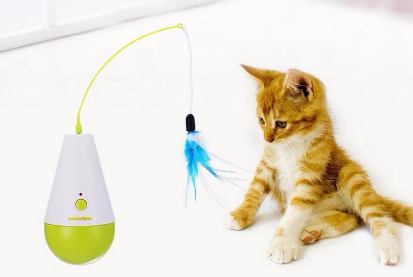 afp pet supplies cat