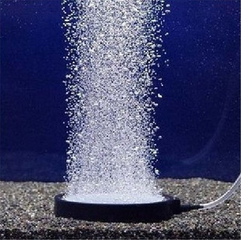 airstone for fish