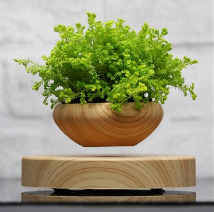 office pot plants blue indoor plant magnetic suspended potted plant wood grain round led light levitating rotating indoor air pot home office decor no office pot plants blue indoor plant magnetic suspended potted plant wood grain round led light levitating rotating indoor air pot home office decor no