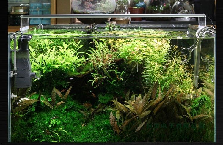 dimmable led fish tank