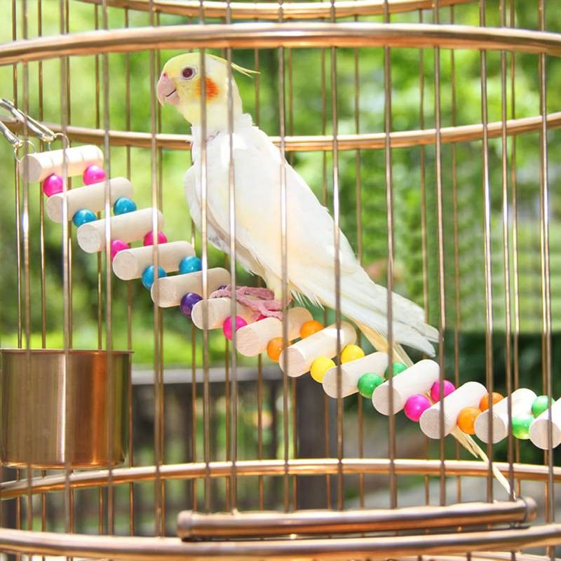 2019 4 Styles Birds Toys Large Parrot Toys Drawbridge 