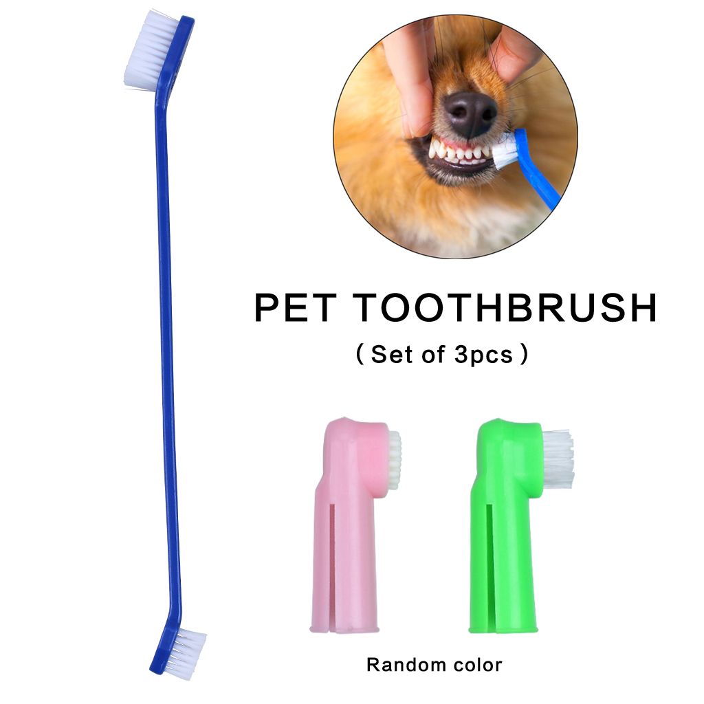 soft dog toothbrush