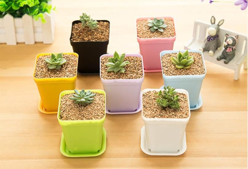 2020 7 7 8cm Flower Pots Plant Pot Trays Flower Plastic Pots Creative Small Square Planters For Succulent Plants From Household Shop6 0 41 Dhgate Com