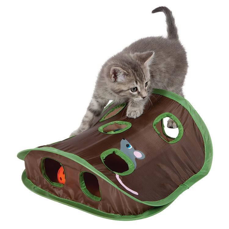 mouse hunt cat toy amazon