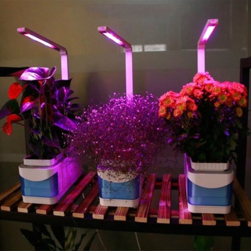 Indoor Hydroponic Herb Garden Kit Light Smart Fresh Indoor Hydroponic Herb Garden Kit Light Smart Fresh Hydroponics Led Growing System Include Gardening Meteorite Seed Not Grow Lights For