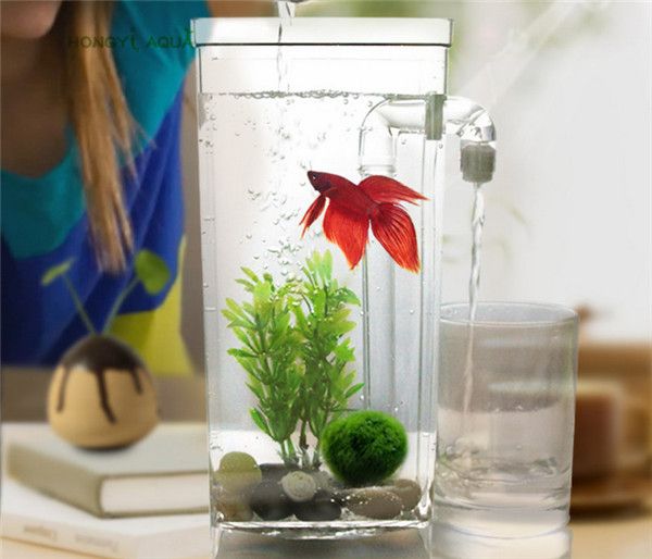 mini lazy fish tank