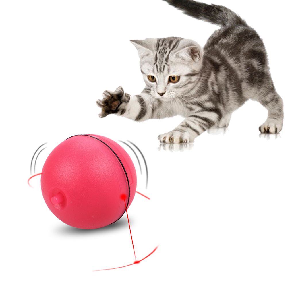 cat rolling ball