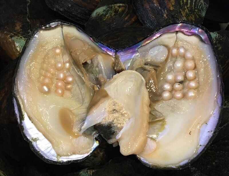 2021 Big Pearl Oyster With 5 8mm Approx 25 Pearls Randomly Color Cultured Natural Freshwater