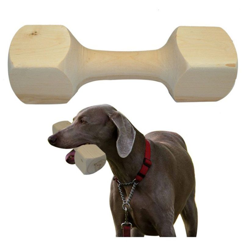 Dog Training Dumbbell Cat and Dog Lovers