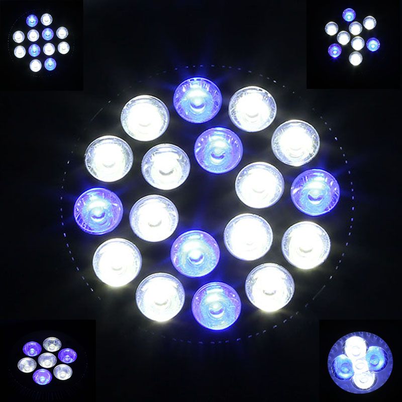 new led coral reef