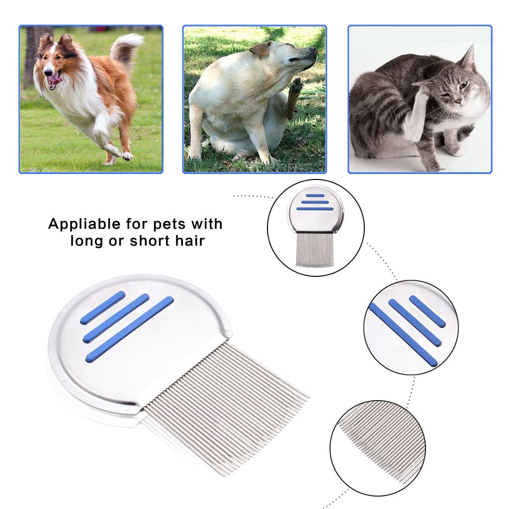 Acheter Pet Chat Chiot Chien Poux Peigne Nit Remover Professionnel En Acier Inoxydable Dents Douces Peigne Peigne Chat Chien Toilettage Brosse Outils De 1 43 Du Ewin24 Fr Dhgate Com Acheter Pet Chat Chiot Chien Poux Peigne Nit Remover Professionnel En Acier Inoxydable Dents Douces Peigne Peigne Chat Chien Toilettage Brosse Outils De 1 43 Du Ewin24 Fr Dhgate Com
