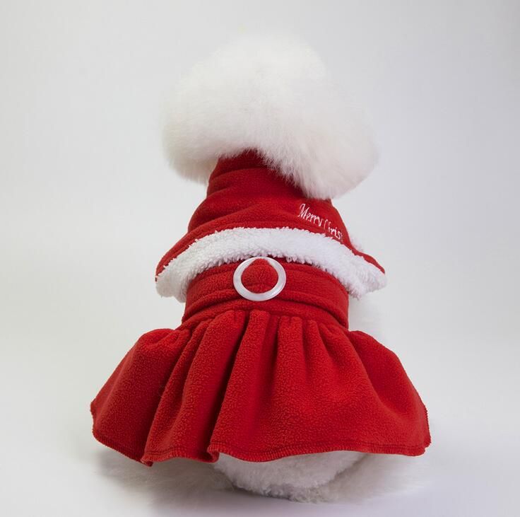 Acquista 1 PZ Costume Da Cane Di Natale Trasformato Vestito Da Babbo Natale  Classico 5 Taglia Euramerican Pet Dog Vestiti Caldi Cane Apparel  Decorazione A 4,83 € Dal Timelesszeng | DHgate Italy
