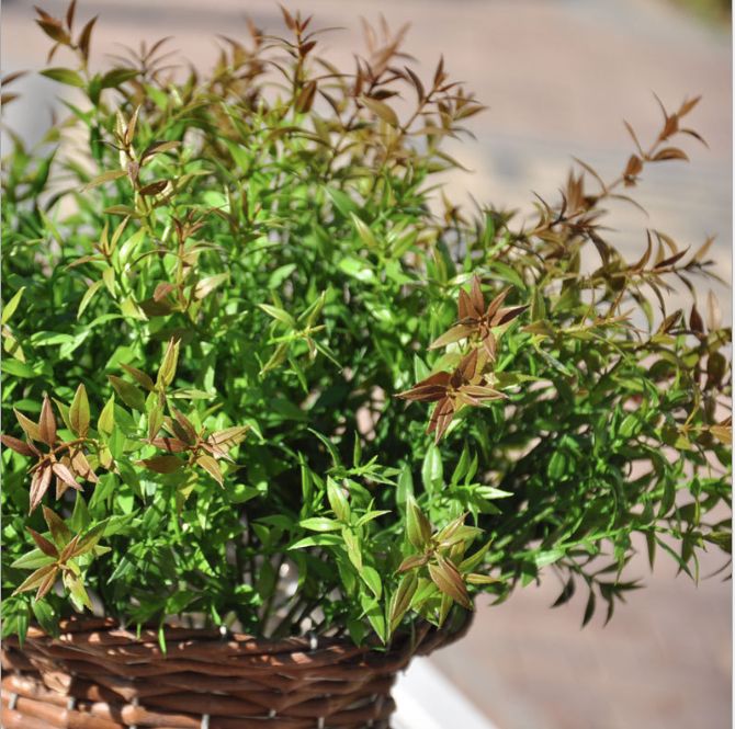 Festival Party Gifts Artificial Plants Green Simulation Green Leaves Fake Plant Plastic Simulation Flowers Vines For Courtyard Decoration