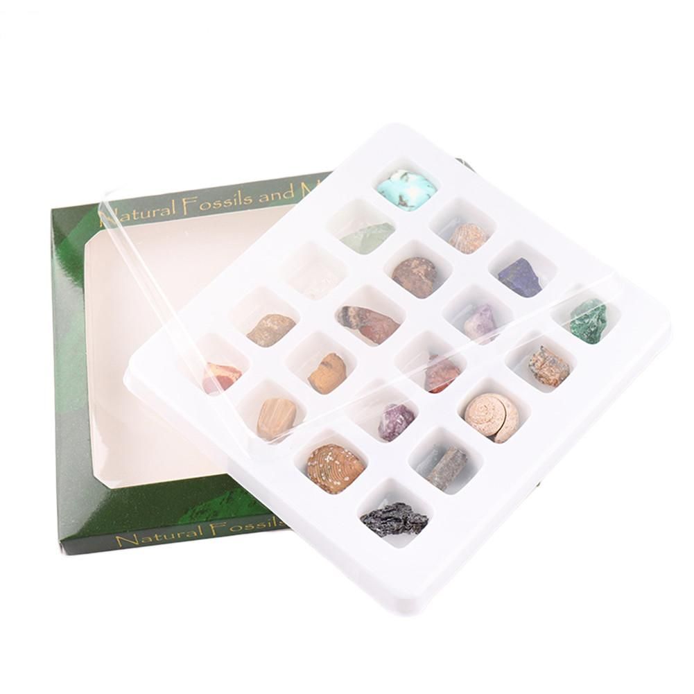 ore fossil set ornament