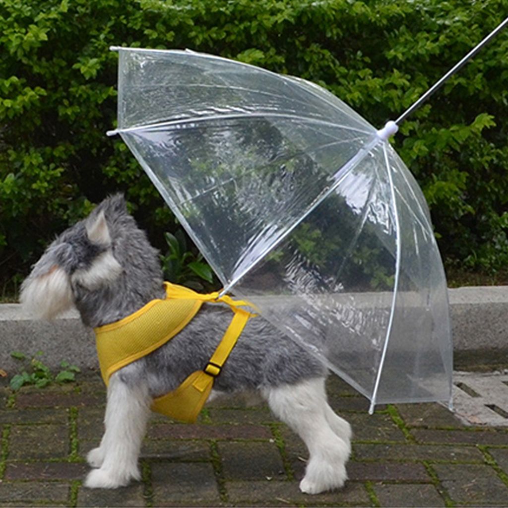 2021 Pet Umbrella Dog Umbrella With Leash Easy View Clear Transparent