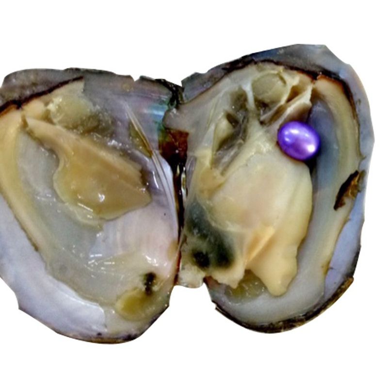 2019 Wholesale Oysters With Dyed Natural Pearls Inside Pearl Party