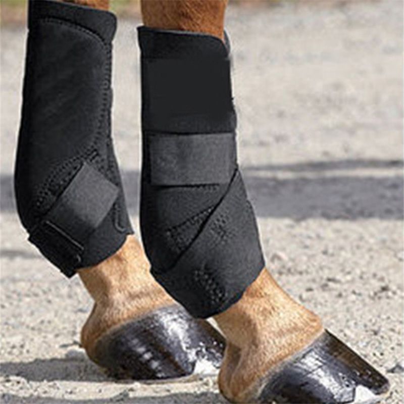 Horse Riding Harness Leg Protector Equestrian Horse Care Legging Leg