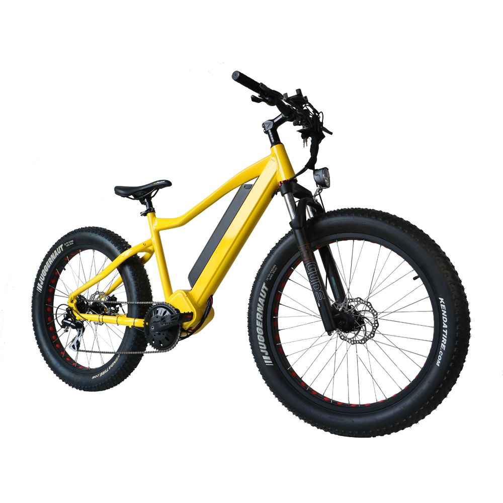 2019 Drop Shipping USA/CANADA 48V1000W Electric Fat Tire