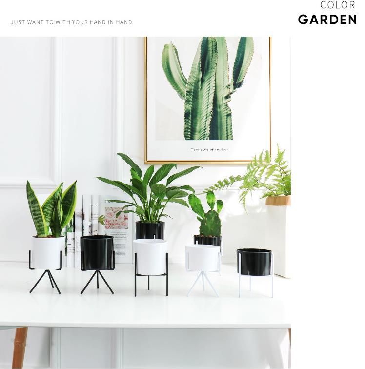 Simple Nordic Style Fleshy Flower Pot Wrought Iron Crafts Vase Simple Nordic Style Fleshy Flower Pot Wrought Iron Crafts Vase Frame Stand Water Culture